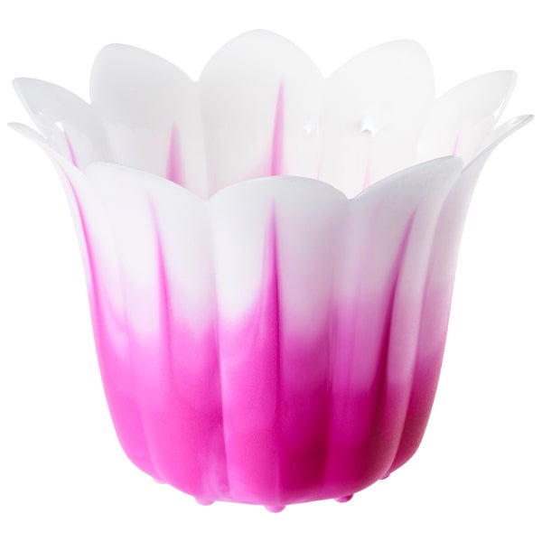 Small Flower Pot Azalea