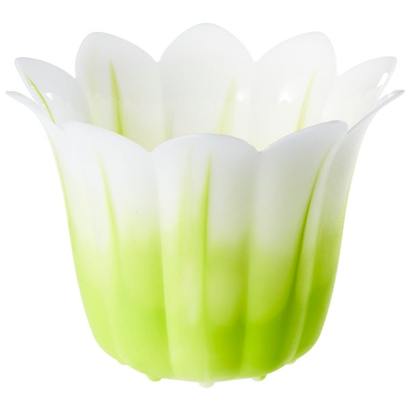 Small Flower Pot Apple