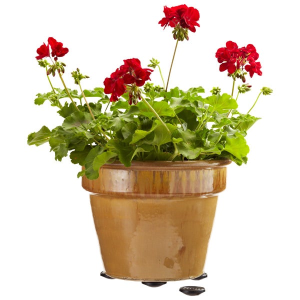 Pot Pads&trade; Brown Pkg/4