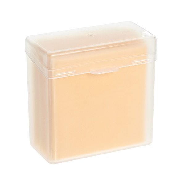 https://www.containerstore.com/catalogimages/130231/SlicedCheeseStayFreshContainerB_x.jpg