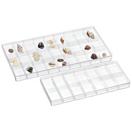 Clear Compartment Bo The Container