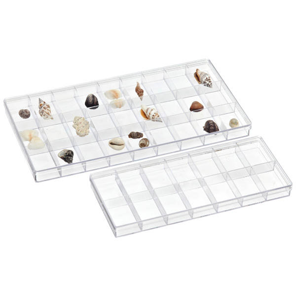 Clear Compartment Boxes
