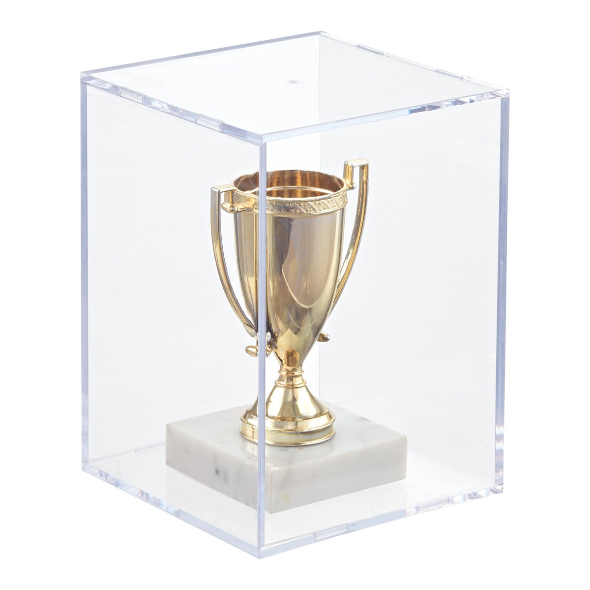 large teddy bear display case
