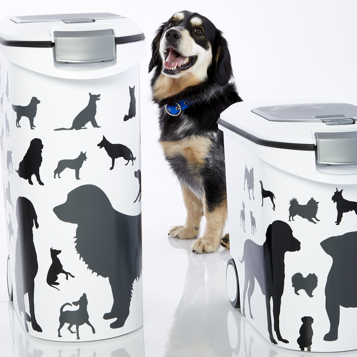 dog food container for two dogs