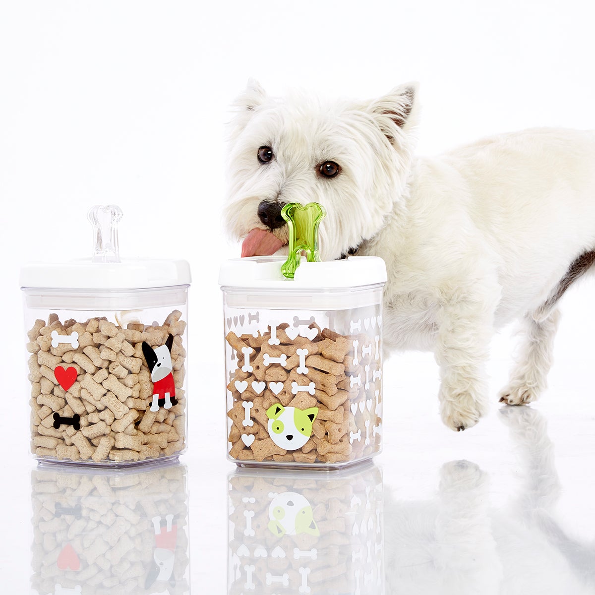 Good Dog Treat Canister The Container Store
