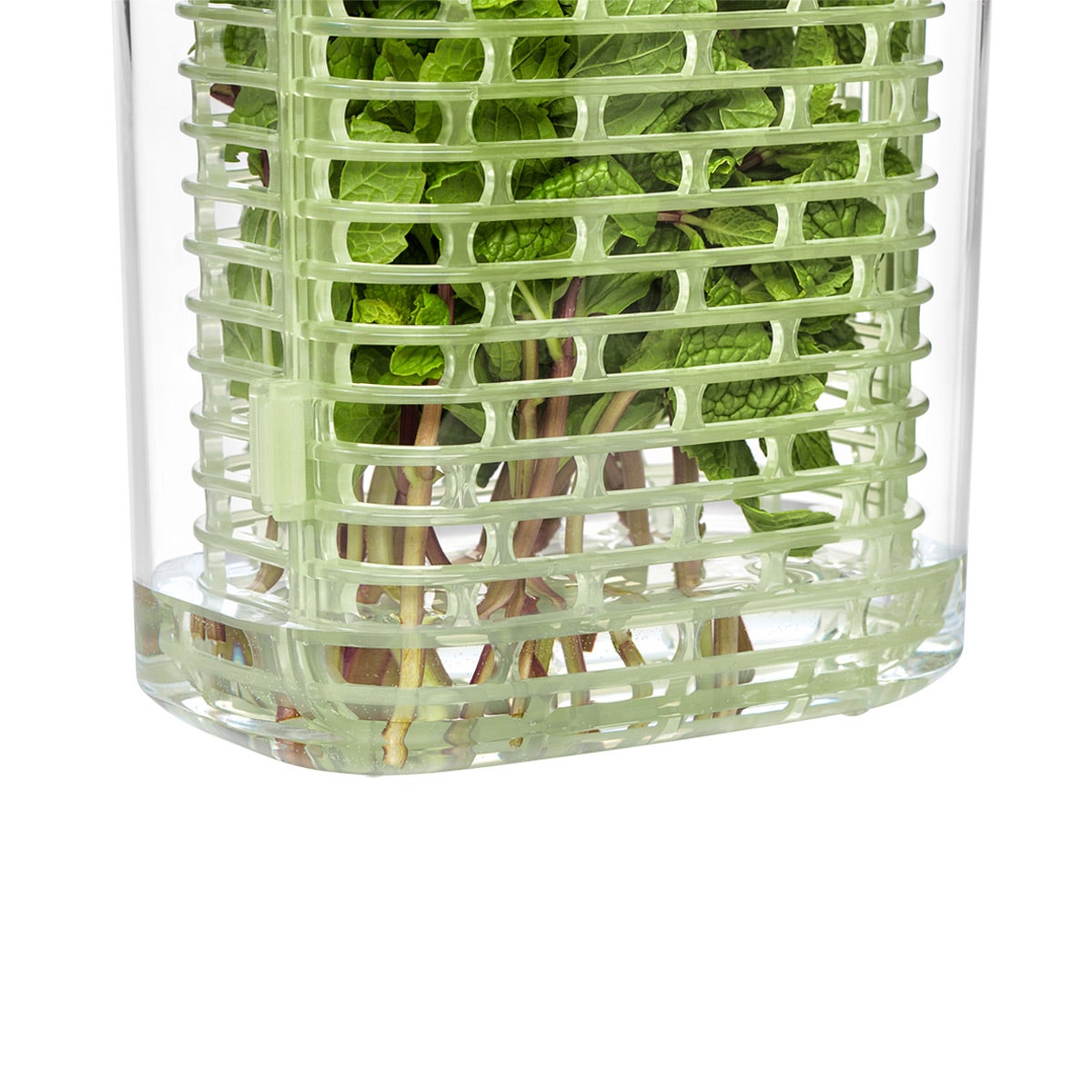 OXO greensaver Herb Keeper The Container Store