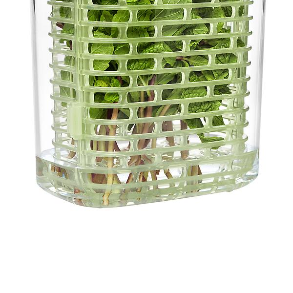 https://www.containerstore.com/catalogimages/332428/10073563-OXO-Good-Grips-Greensaver-H.jpg?width=600&height=600&align=center