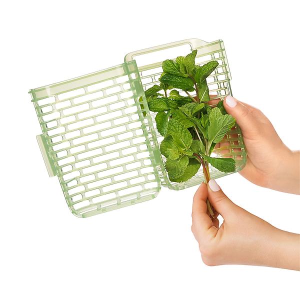 https://www.containerstore.com/catalogimages/332434/10073563-OXO-Good-Grips-Greensaver-H.jpg?width=600&height=600&align=center