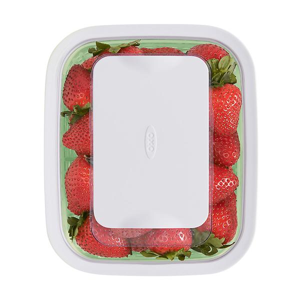 https://www.containerstore.com/catalogimages/342592/10066185-Greensaver-Produce-Keeper-1.jpg?width=600&height=600&align=center