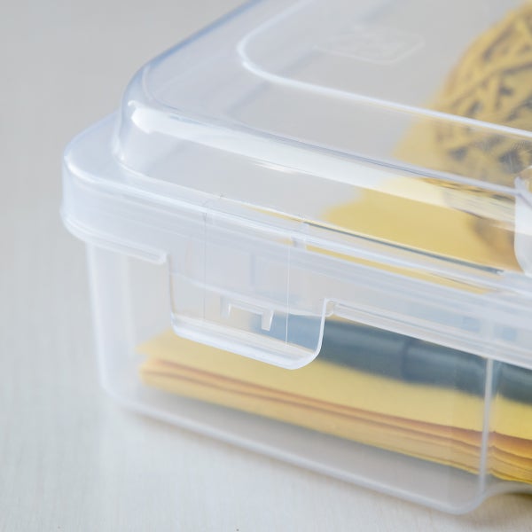 Iris Clear Deep Document Case