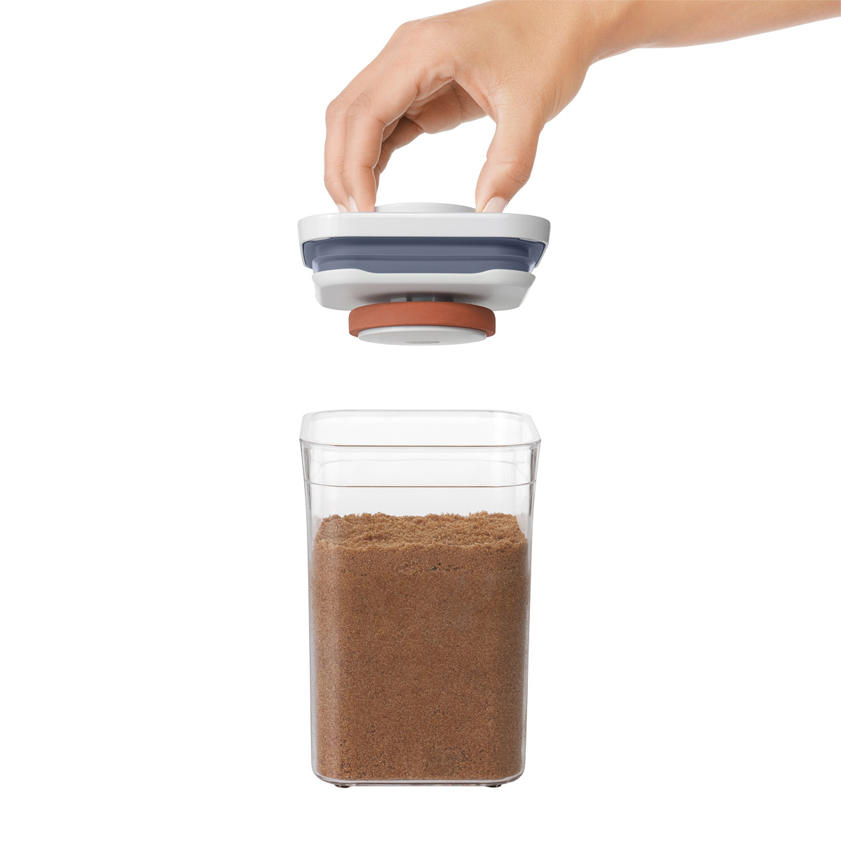 https://www.containerstore.com/catalogimages/368979/10075024-OXO-POP-Brown-Sugar-Keeper-.jpg