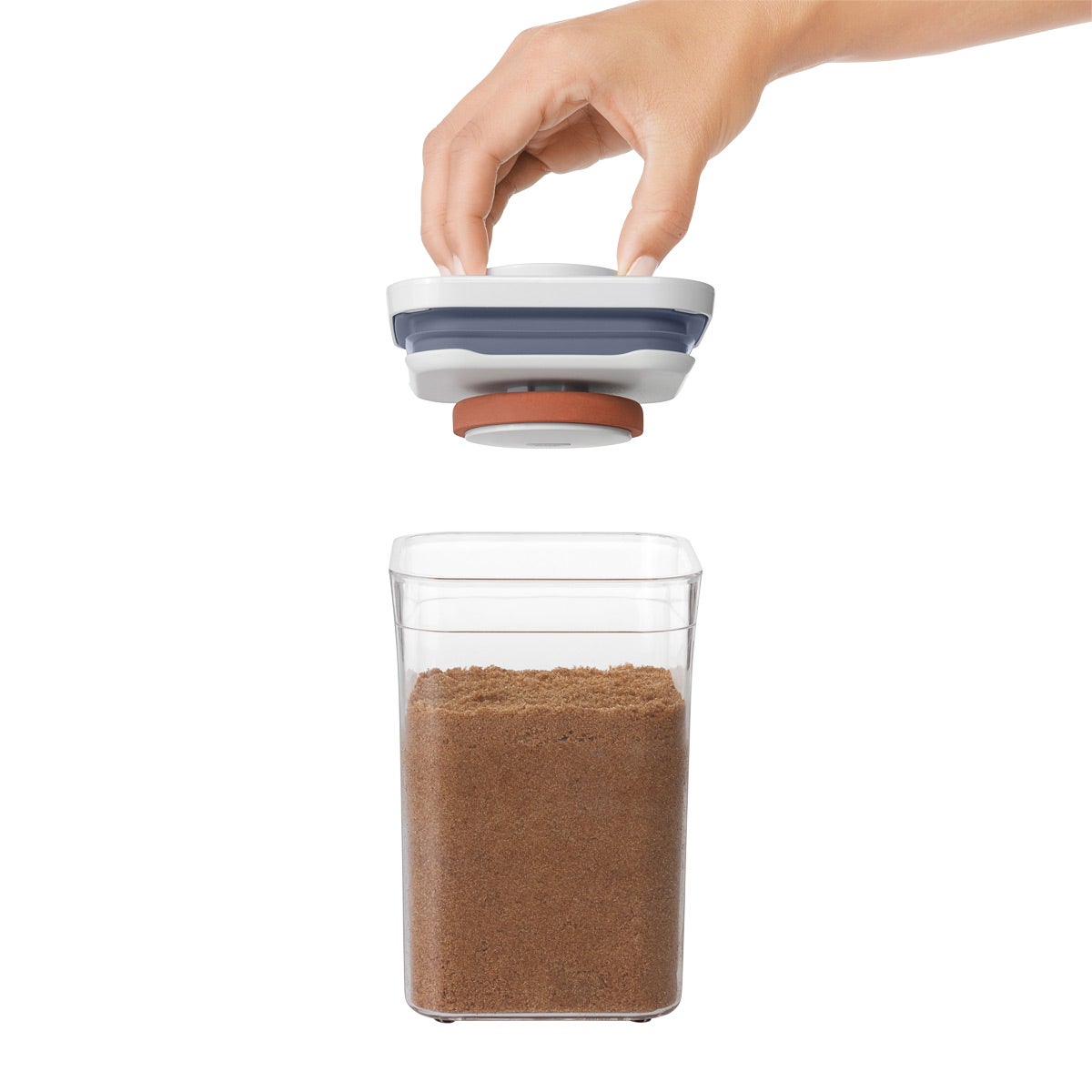 OXO Good Grips POP Brown Sugar Keeper