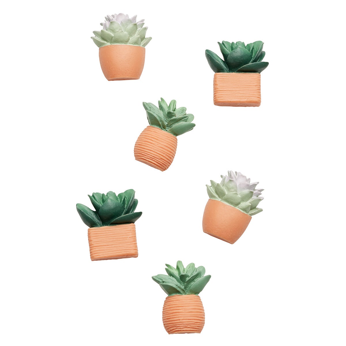 Terracotta Succulent Magnets | The Container Store