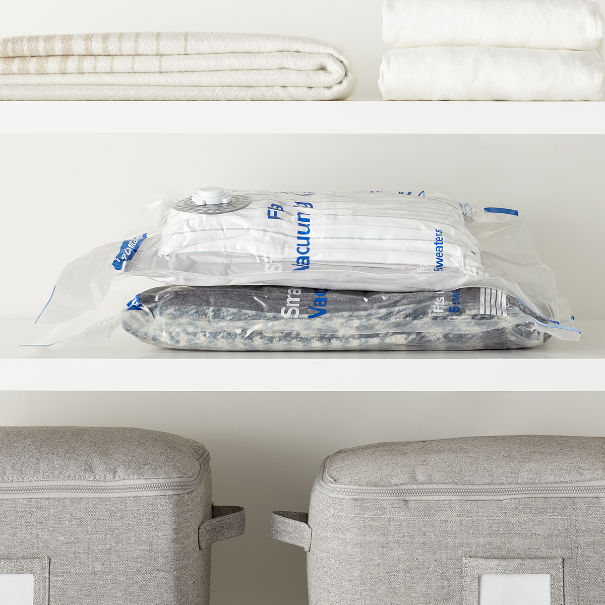 https://www.containerstore.com/catalogimages/393834/10082040-small-flat-vacuum-bag-PVL.jpg