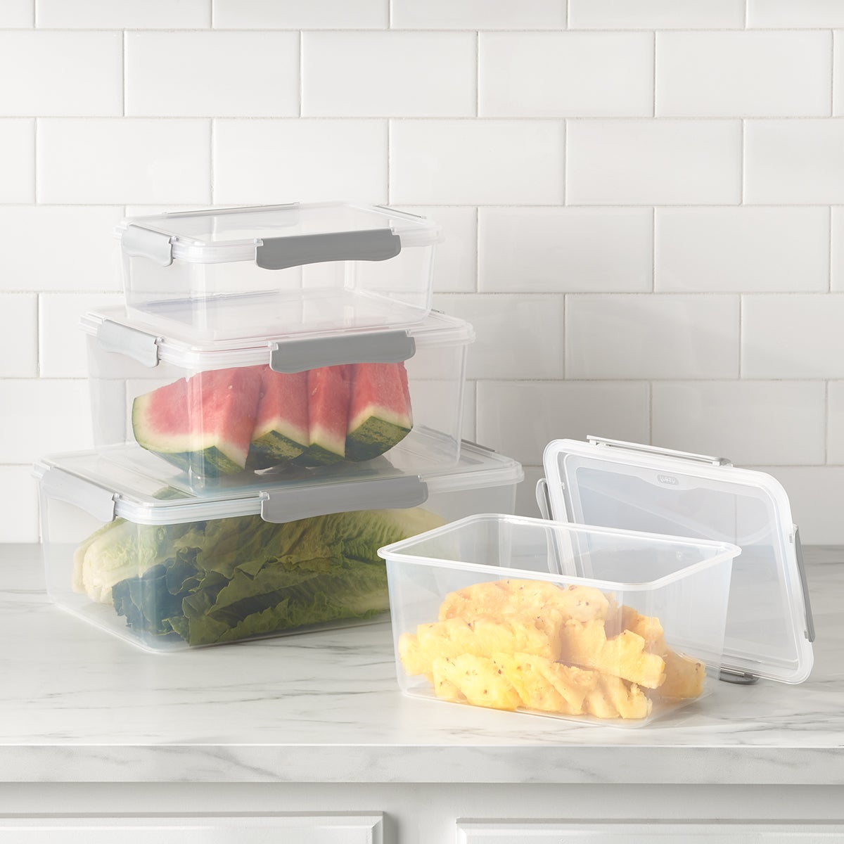 Plastic Food Containers with Grey Clips