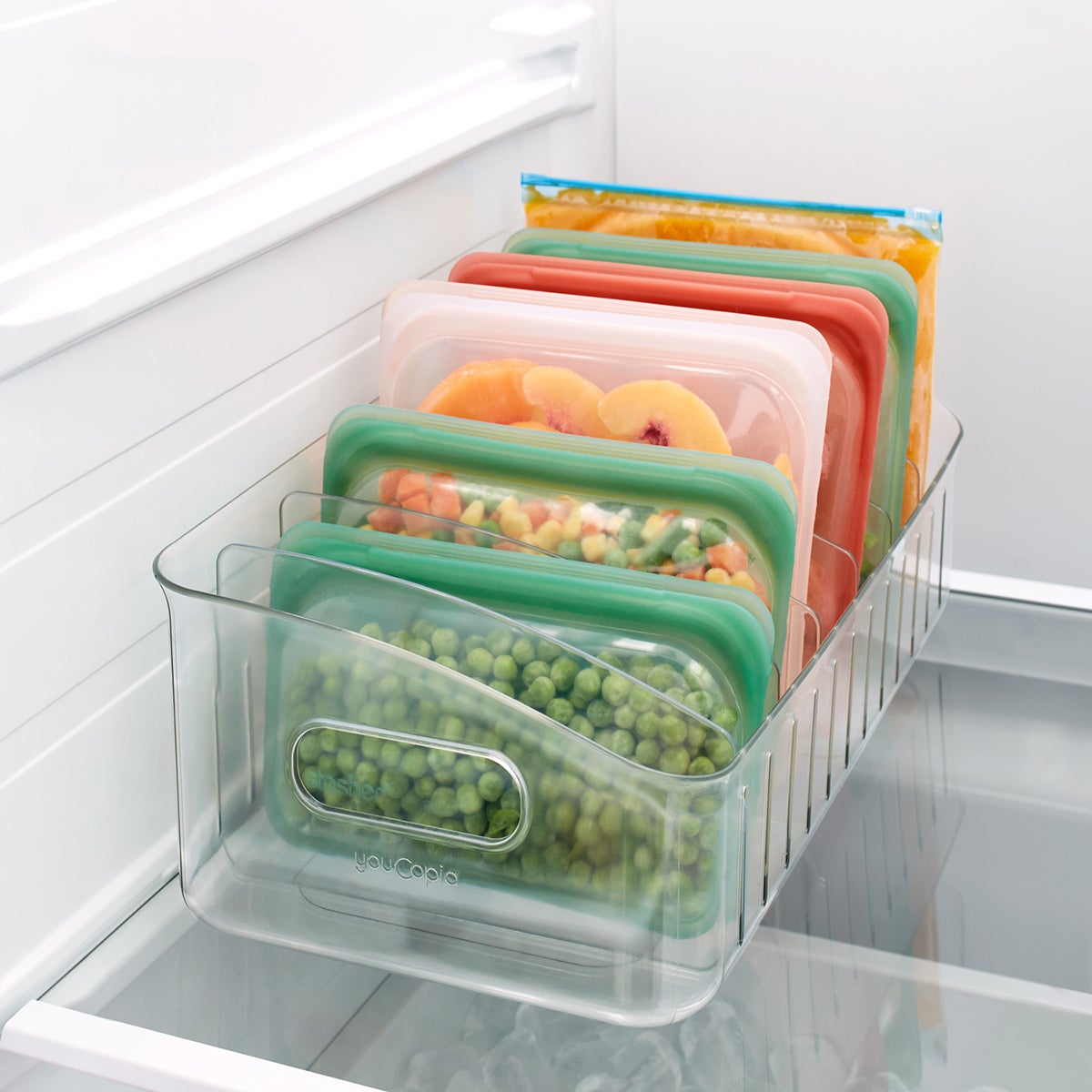 Freezer sales storage container