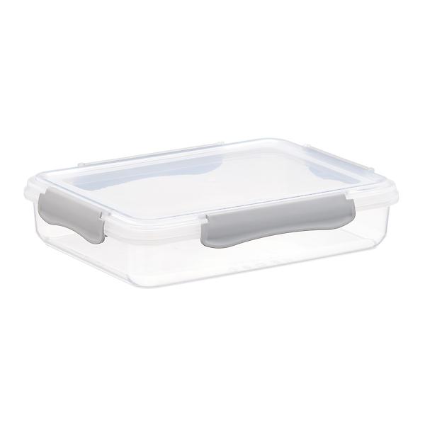 Plastic Food Containers with Grey Clips