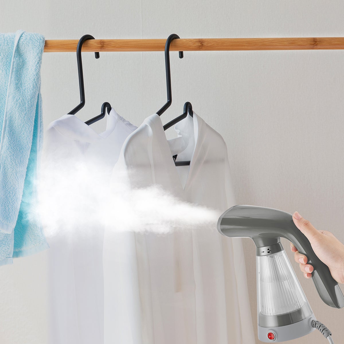 true & tidy handheld steamer