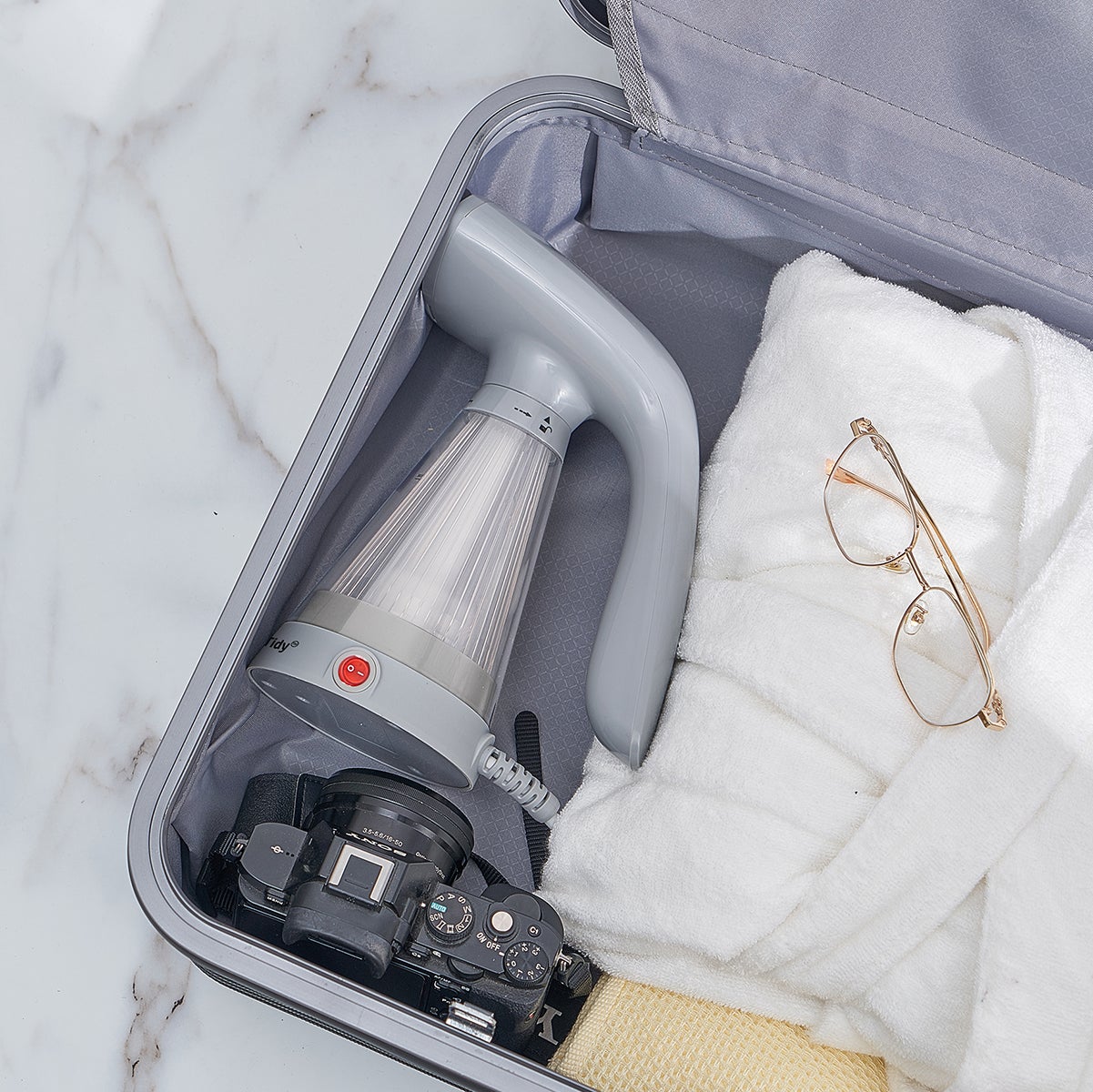 true & tidy handheld steamer