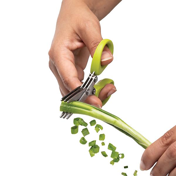 Multi-Blade Kitchen Scissors for Herbs and Green Leaves