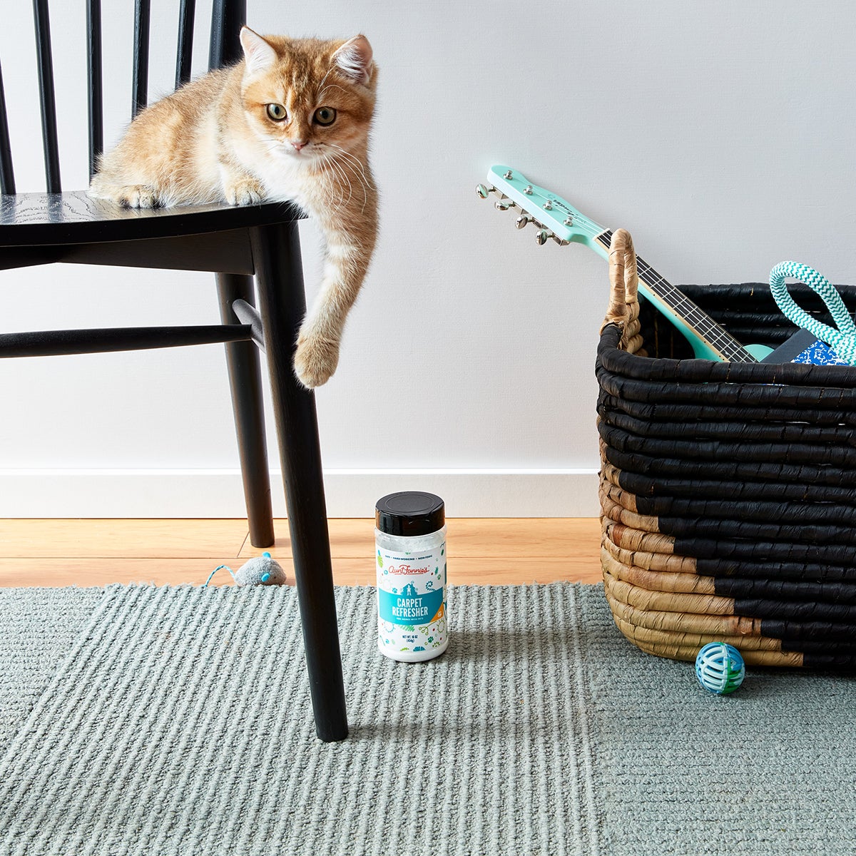 Aunt Fannies Carpet Refresher For Pets | The Container Store