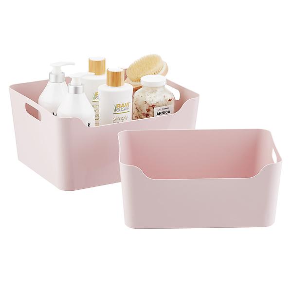 https://www.containerstore.com/catalogimages/462641/10082415g-plastic-storage-bin-with-.jpeg?width=600&height=600&align=center