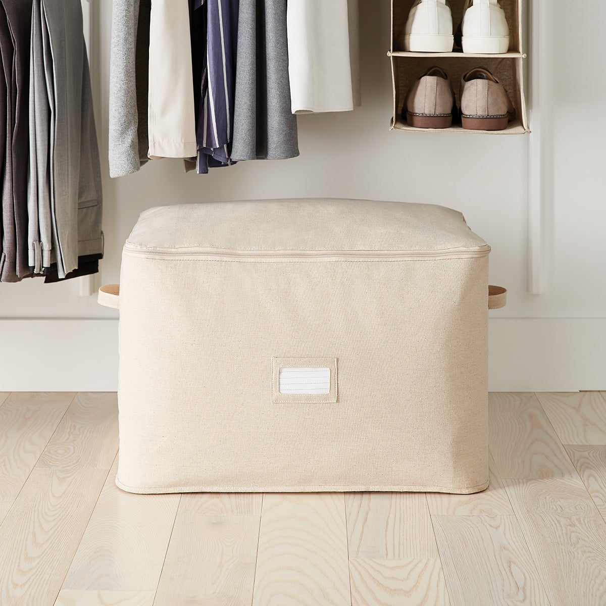 Closet Storage Bags