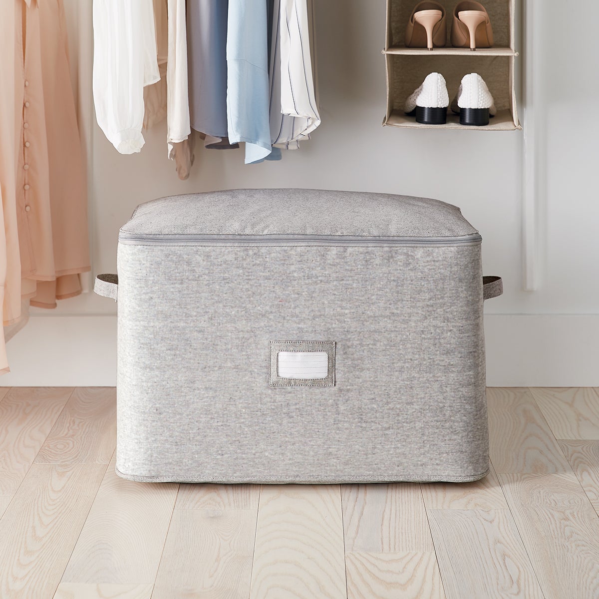 Closet Storage Bags
