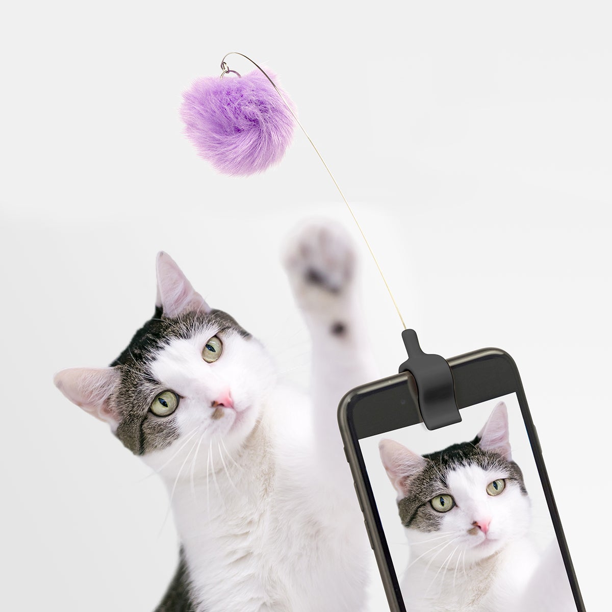 CATさま専用Phone Strap by Aurélie Mathigot CATさま専用Phone Strap by Aurélie Mathigot CATさま専用Phone Strap