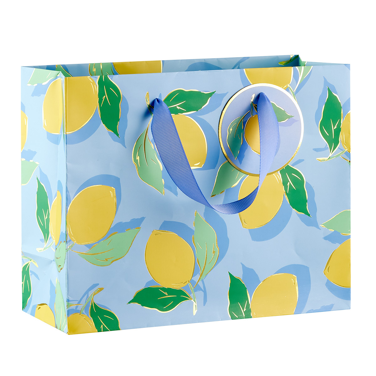 Lemons Gift Bag  The Container Store