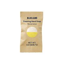 Blueland Hand Soap Refill Tablet Perrine Lemon