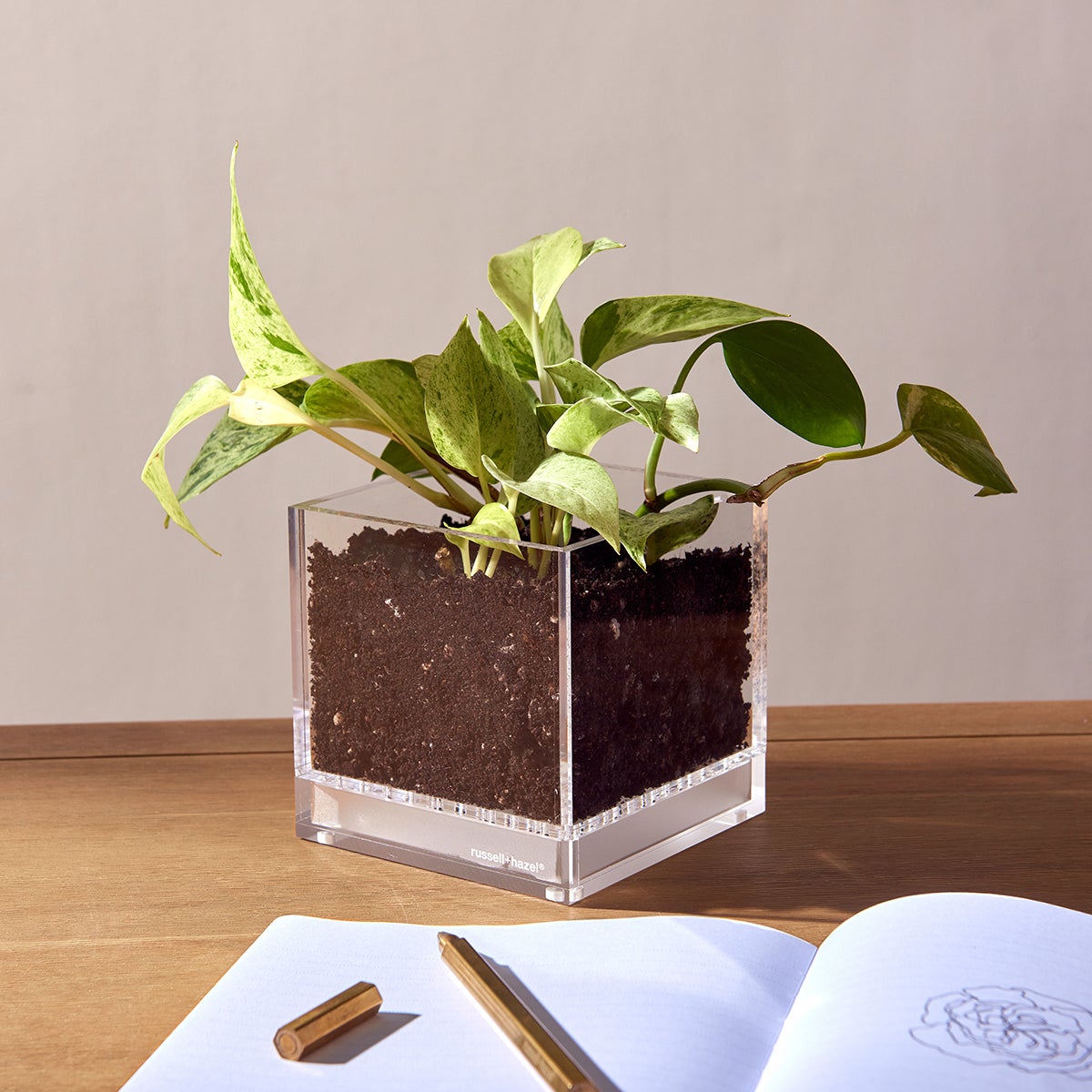 Russell Hazel Acrylic Planter