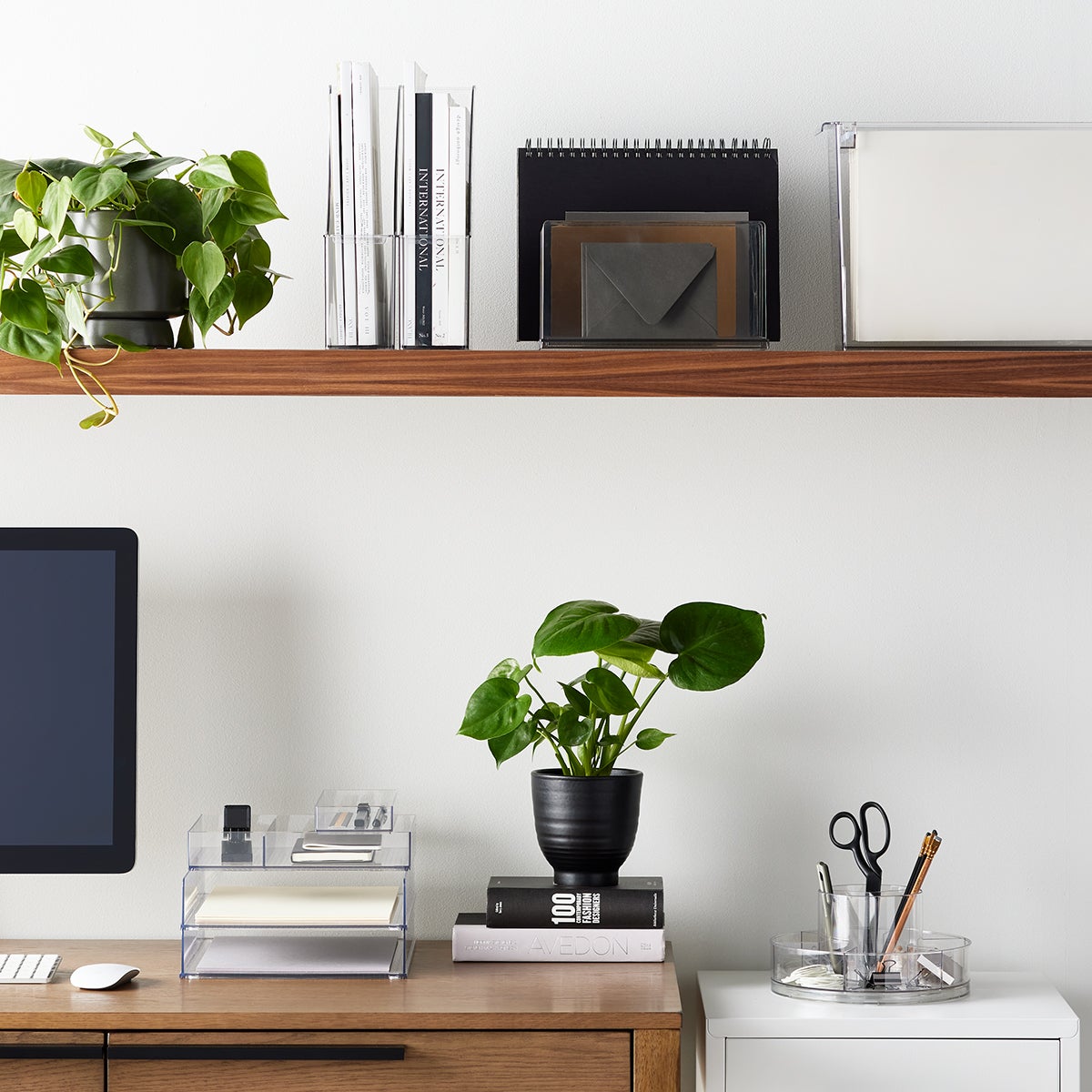 Everything Organizer 2-Section Accessory Tray | The