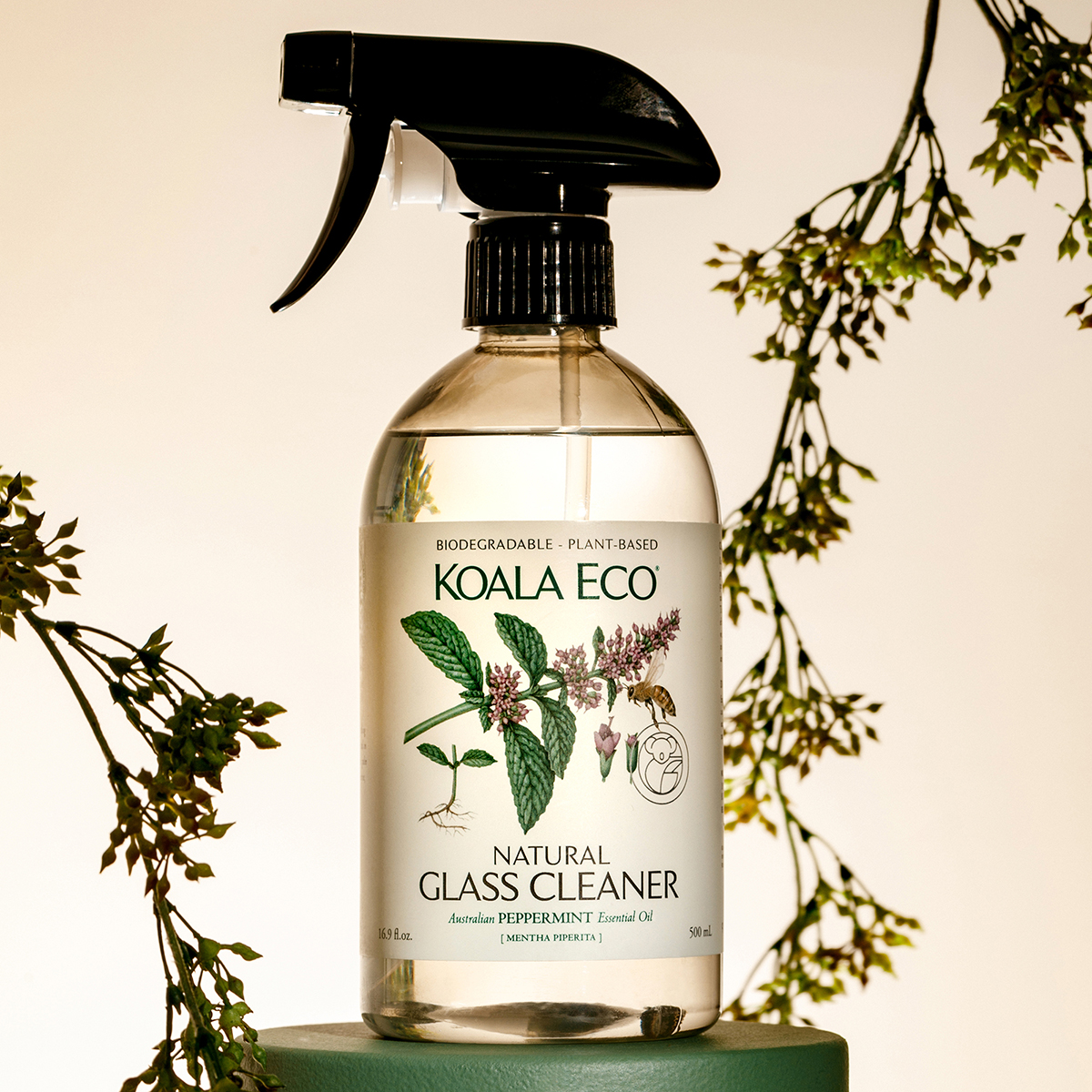 Koala Eco Natural Glass Cleaner - Plant-Based, Eco-Friendly - with  Australian Peppermint Essential Oil - 24oz