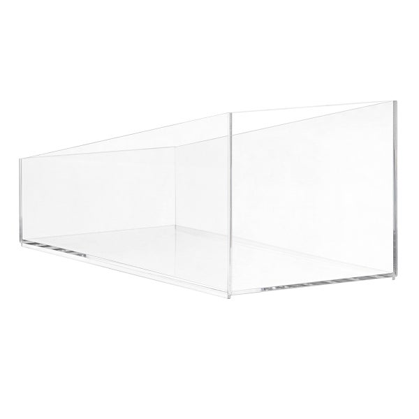 The Container Store Luxe Acrylic Shoe Bin
