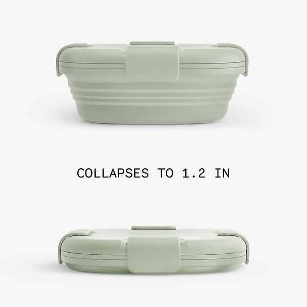 https://www.containerstore.com/catalogimages/481868/10093515-24-oz-collapsible-sandwich-.jpg?width=600&height=600&align=center