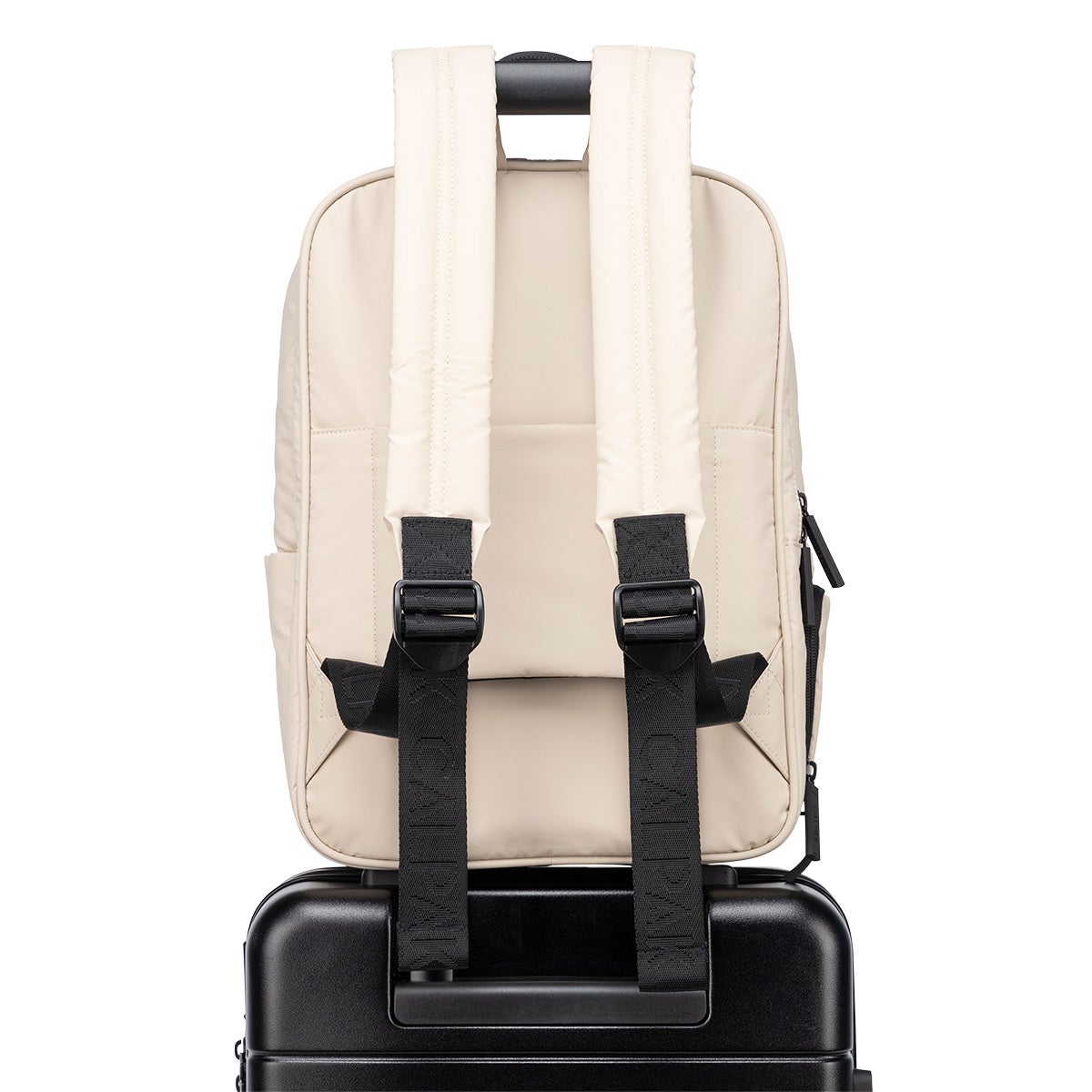 Container store 2025 backpack