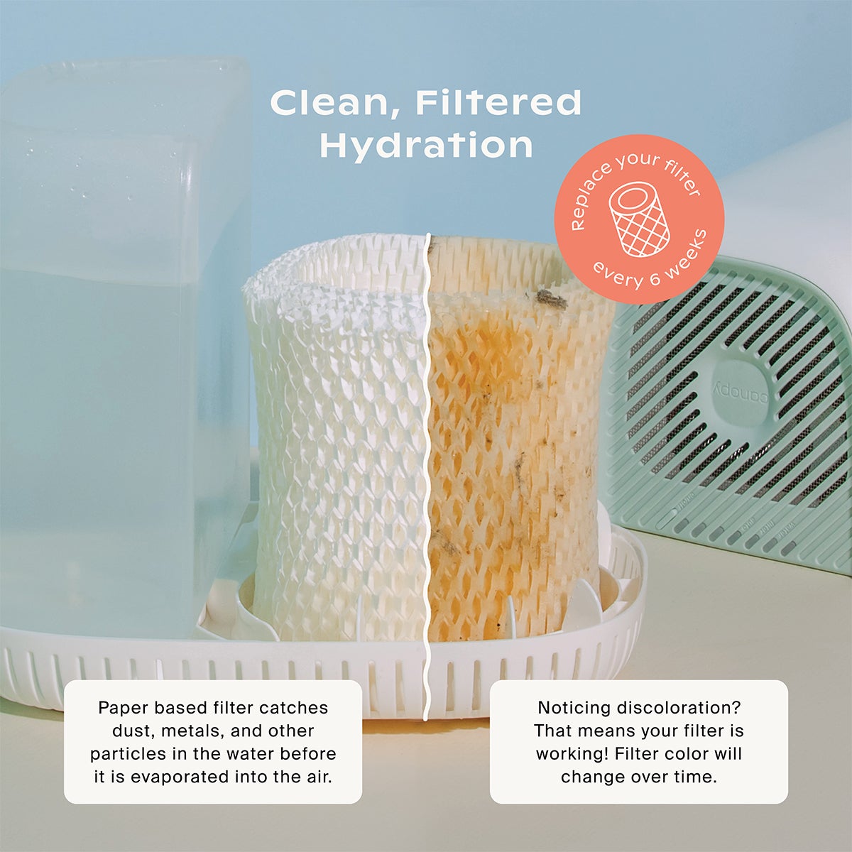 Canopy Humidifier Bundle