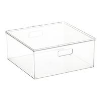 Everything Organizer Large Box w/Lid Clear