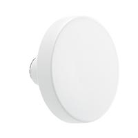 The Container Store Round Hook Matte White