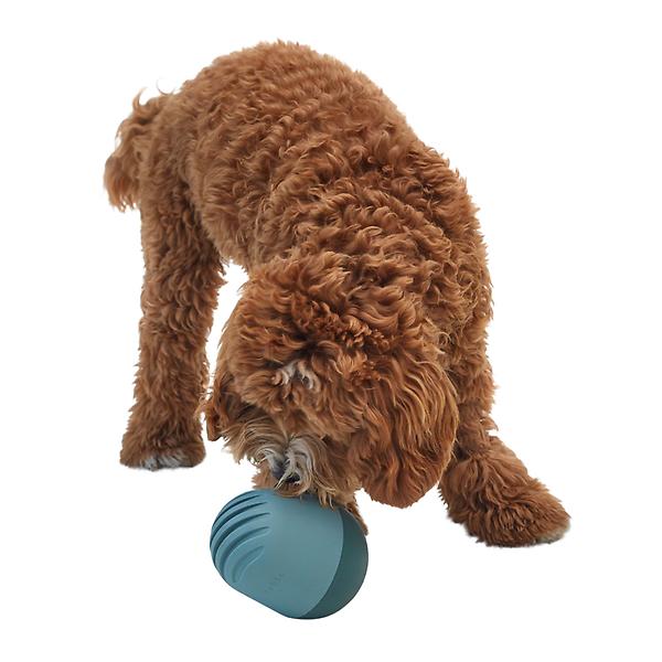 https://www.containerstore.com/catalogimages/497555/10096143-6-fable-pet-ven.jpg?width=600&height=600&align=center