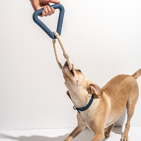 Wild One Triangle Tug Engaging Dog Toy : Target