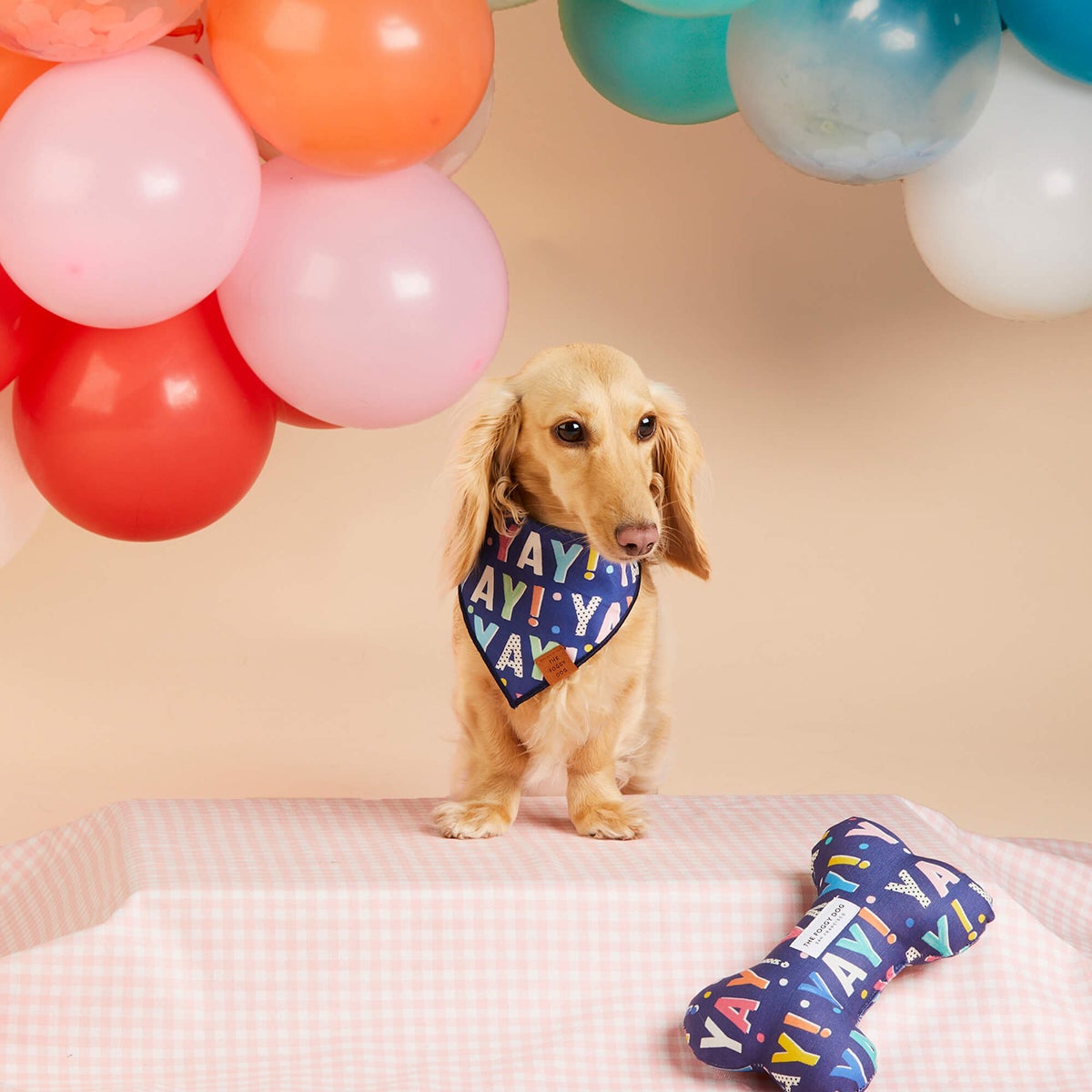 The Foggy Dog Pet Bandana
