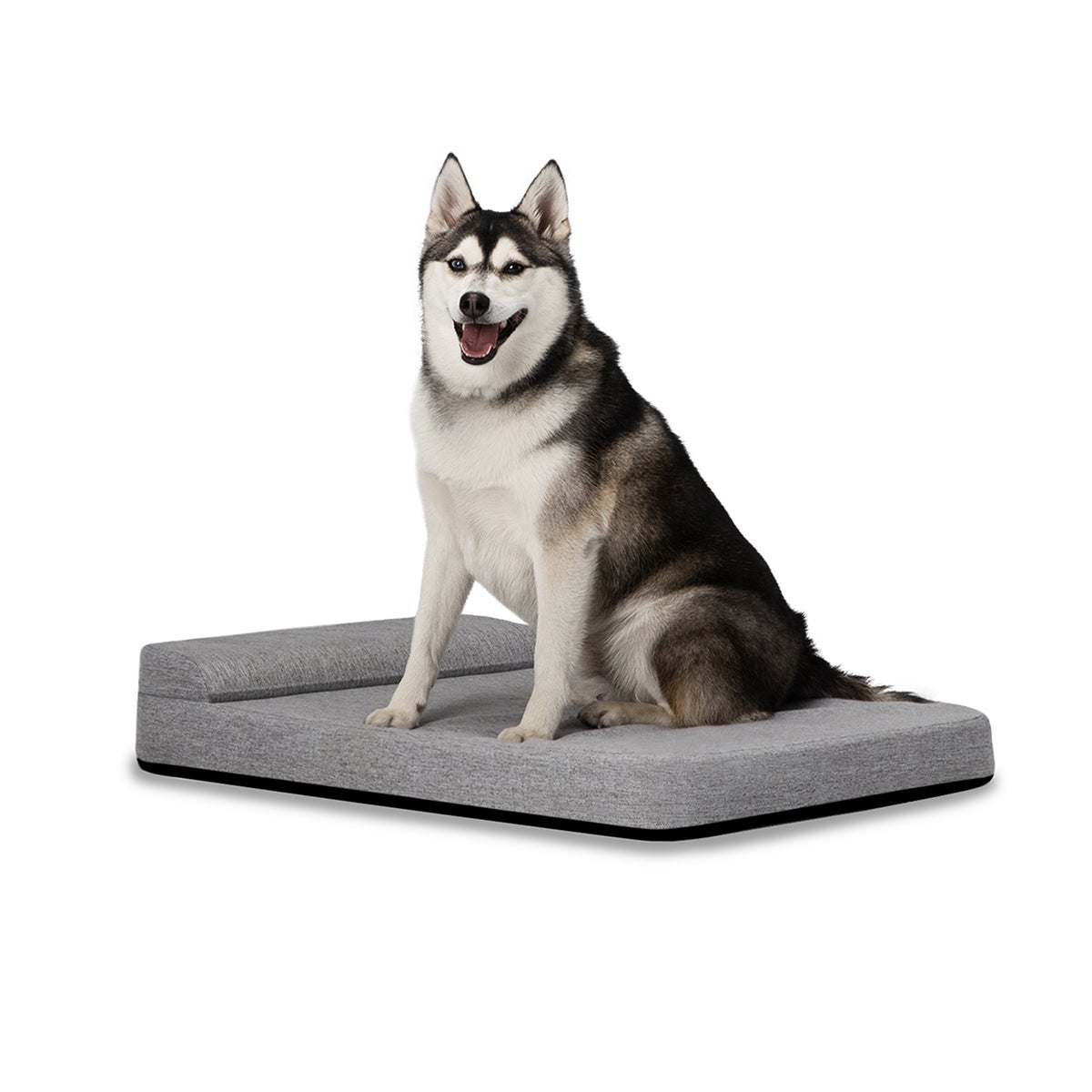 Husky dog bed top
