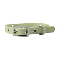Diggs Small Buckle Collar Sage Green