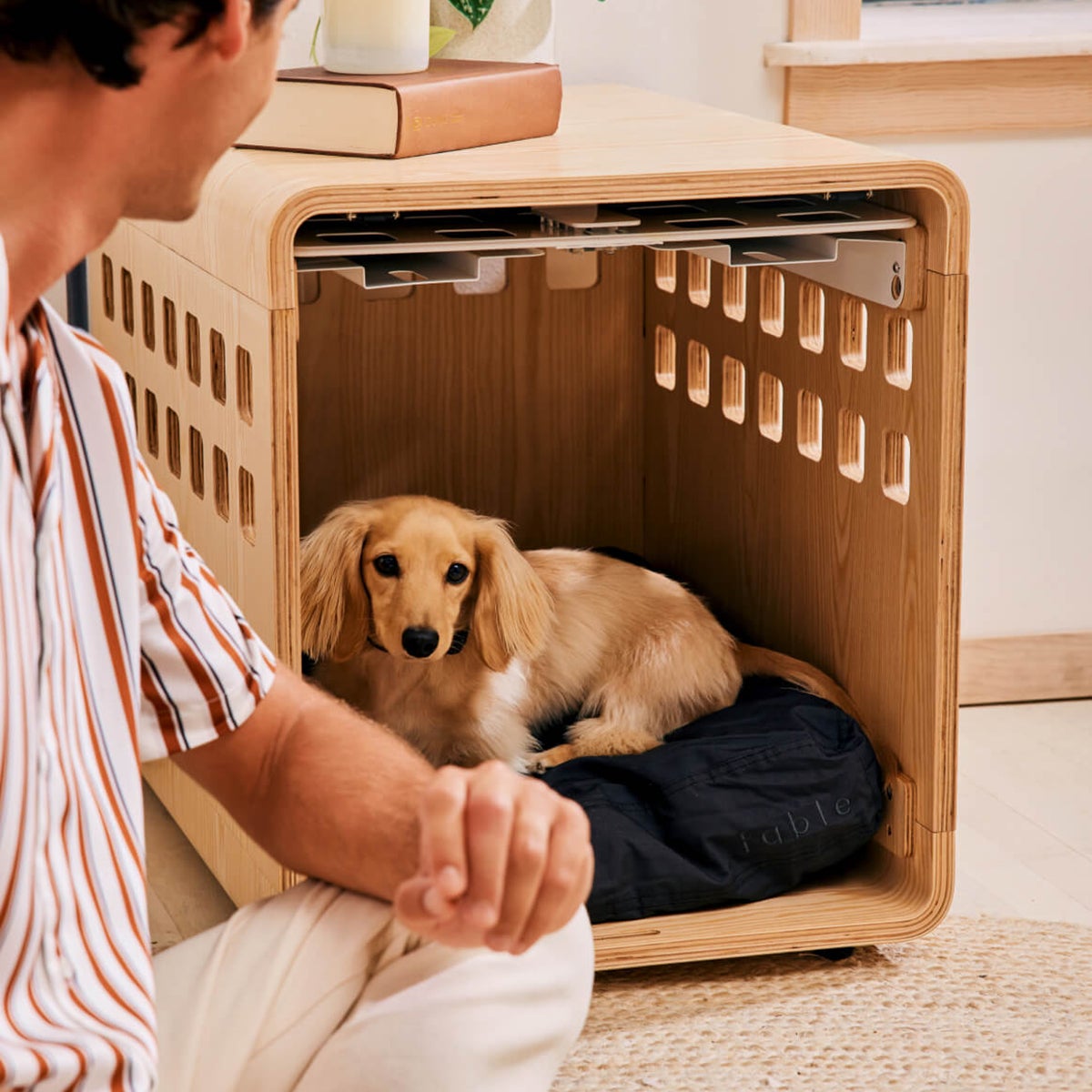  FABLE Premium Wood Dog Crate - White Metal Door That