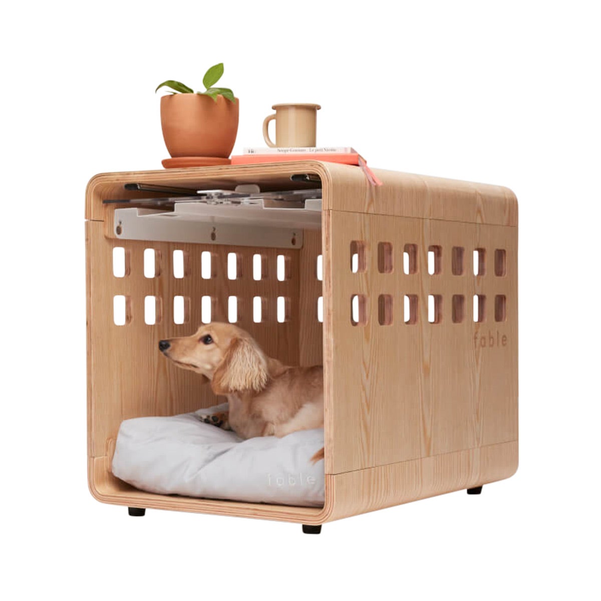 Fable Pets Pet Crate with Acrylic Gate