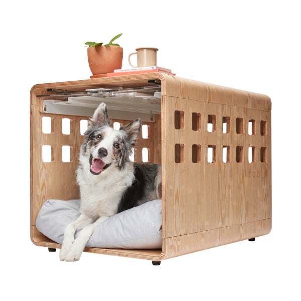 Crate And Barrel Dog Toys Cheap Purchase pattani2.go.th