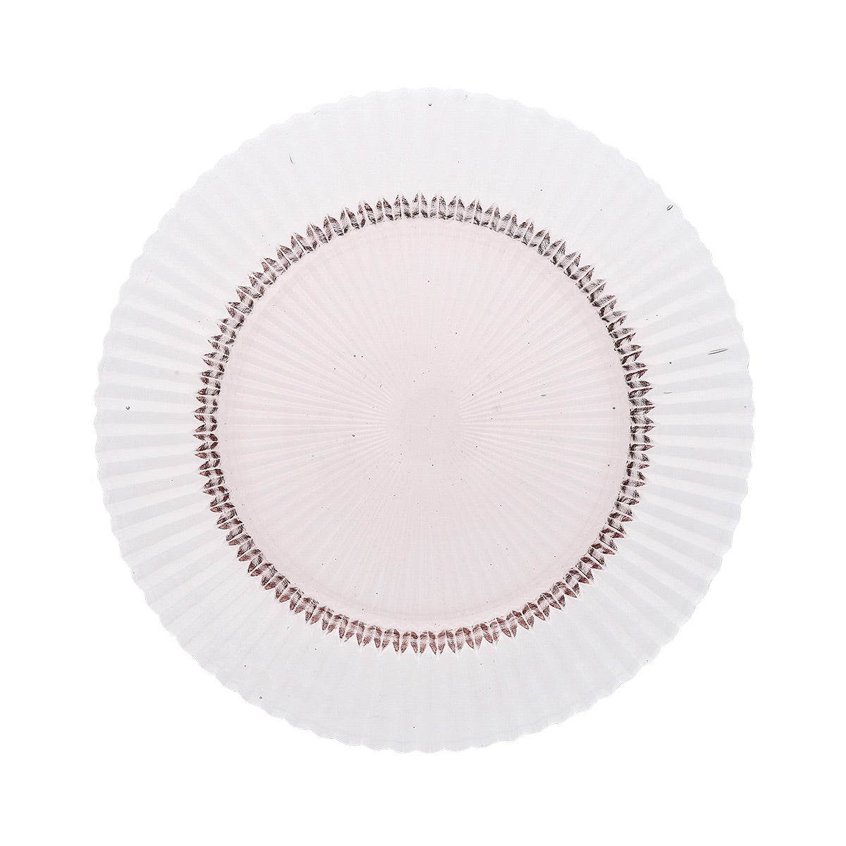 Fortessa Archie Dinner Plate Set of 4