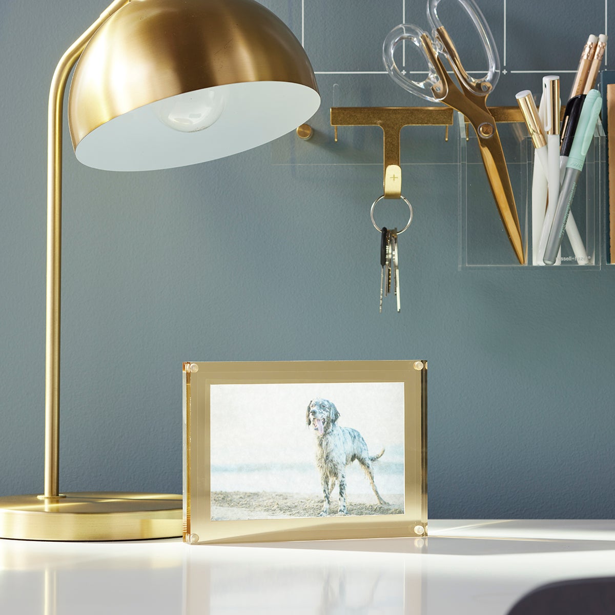 Russell Hazel Acrylic Gold Metal Wall Hook